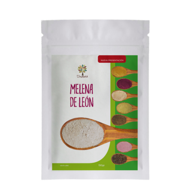 Hongo Melena de León D´natura